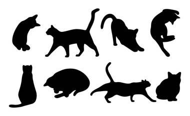 Beyaz arka planda kedi gölgesi 3 şirin, vektör illüstrasyonu.