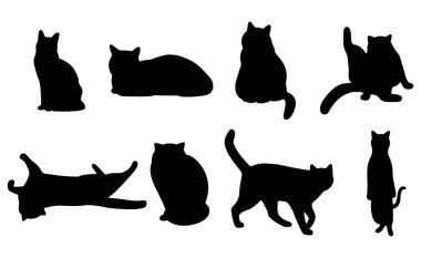 Beyaz arka planda kedi gölgesi 4 şirin, vektör illüstrasyonu.