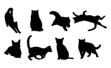 Beyaz arka planda kedi gölgesi 6 şirin, vektör illüstrasyonu.