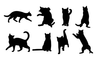Beyaz arka planda kedi gölgesi 11 şirin, vektör illüstrasyonu.