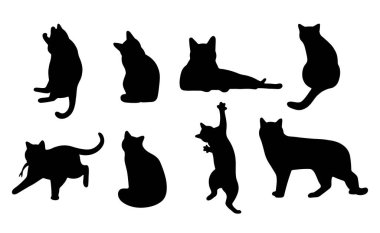 Beyaz arka planda kedi gölgesi 16 sevimli, vektör illüstrasyonu.
