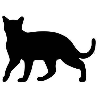 Beyaz arka planda kedi gölgesi tekli 3 şirin, vektör illüstrasyonu.