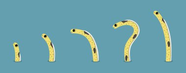 Spotted Garden eel 2 cute on a blue background, vector illustration. clipart