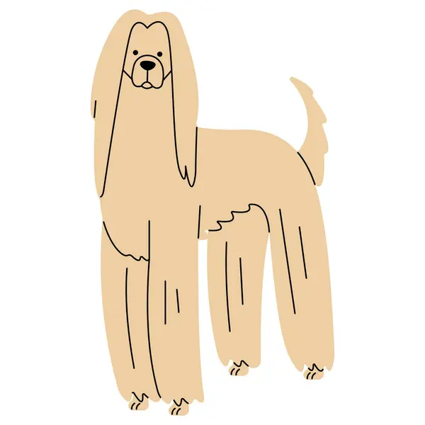 Câinele Afgan Drăguț Fundal Alb Ilustrație Vectorială — Vector de stoc