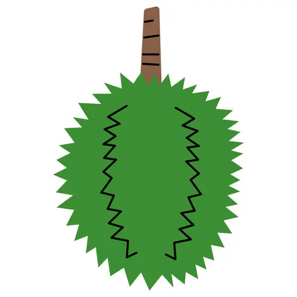 Beyaz arkaplanda Durian şirin, vektör illüstrasyonu.