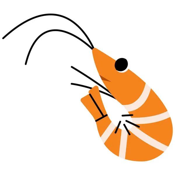 Beyaz arkaplanda karides tekli 5 şirin, vektör illüstrasyonu.