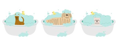 Beyaz arkaplan üzerinde 10 sevimli Hayvan Bakımı, vektör illüstrasyonu.