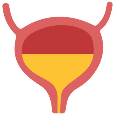 Beyaz arka planda mesane, vektör illüstrasyonu.