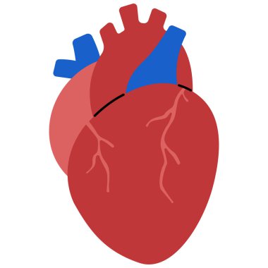 Beyaz bir arka planda vektör çizim kalp.