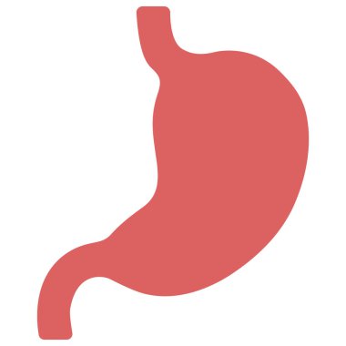 Beyaz arkaplanda mide, vektör illüstrasyonu.