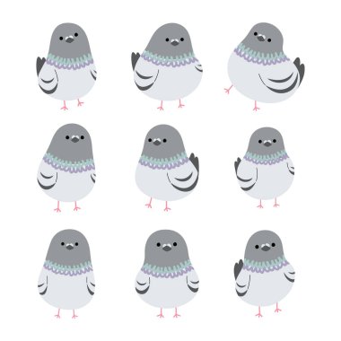 Beyaz arka planda sevimli güvercin 3, vektör illüstrasyonu.