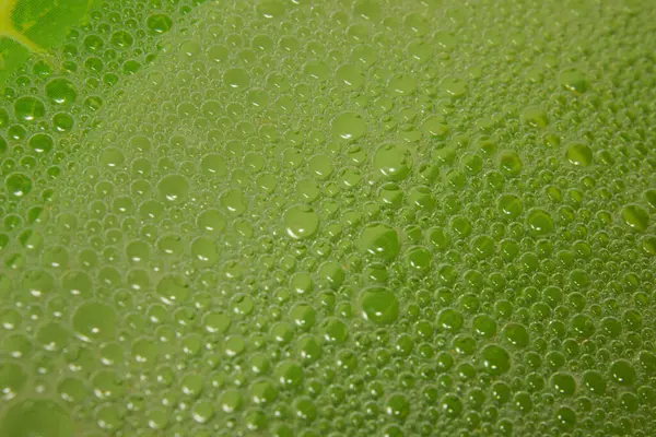 abstract of dish soap bubbles on a green plate. macro. shallow depth of field.