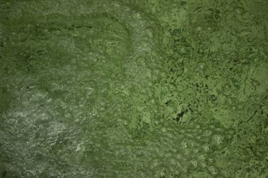 Kabarcıklı yeşil su dokusu. yeşil su yüzeyi, soyut doğa arkaplanı