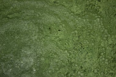 Kabarcıklı yeşil su dokusu. yeşil su yüzeyi, soyut doğa arkaplanı