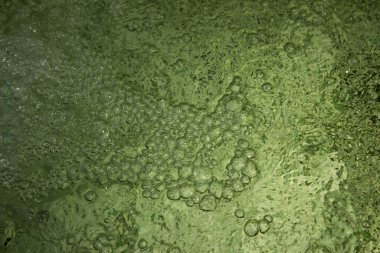 Kabarcıklı yeşil su dokusu. yeşil su yüzeyi, soyut doğa arkaplanı