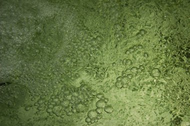 Kabarcıklı yeşil su dokusu. yeşil su yüzeyi, soyut doğa arkaplanı
