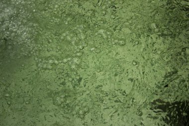 Kabarcıklı yeşil su dokusu. yeşil su yüzeyi, soyut doğa arkaplanı