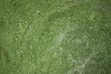 Kabarcıklı yeşil su dokusu. yeşil su yüzeyi, soyut doğa arkaplanı