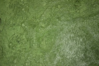 Kabarcıklı yeşil su dokusu. yeşil su yüzeyi, soyut doğa arkaplanı