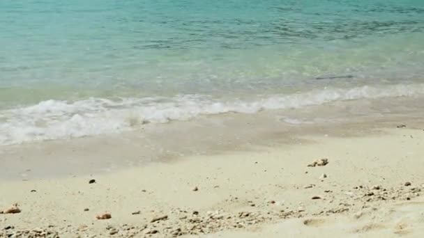 Закрыть Низкий Угол Волн Песка Пляже Замедленном Режиме Увеличить Масштаб — стоковое видео