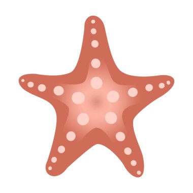 Beyaz arka planda izole edilmiş Geometrik desenli ve dekoratif tasarımlı denizyıldızı çizimi