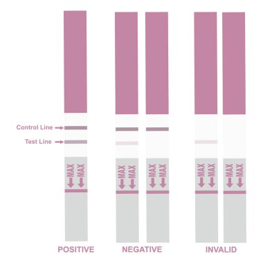 HCG Pembe Hamilelik Testi Tüm Olası Sonuçları, Doğurganlığı, Sağlığı ve Tıbbi Teşhisleri Gösteriyor