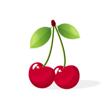 Yapraklı kiraz beyaz arkaplanda izole edilmiş düz vektör çizimi