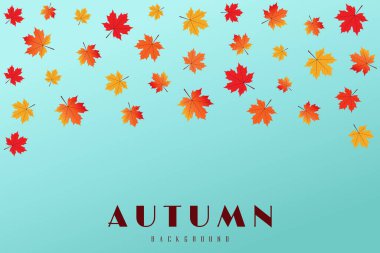 Akçaağaç Yaprakları Vektör İllüstrasyonu ile Sonbahar Sezonu Arkaplanı.