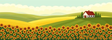 Ev düz vektör illüstrasyonlu ayçiçeği tarlası.