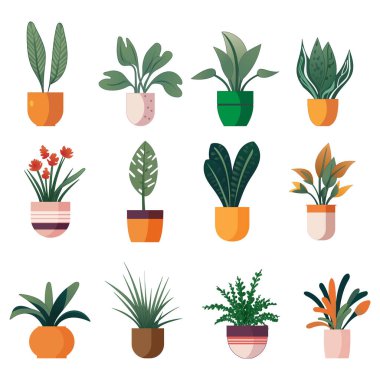 Kapalı alandaki çeşitli bitkiler ve çiçekler