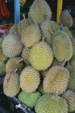 Tatlı kokusu ve dikenli derisi ile tanınan Malezya yerel klon durian türüdür, popüler ve ucuzdur, değişik boyutlarda, farklı kök uzunlukları ve deri renkleriyle mevcuttur..