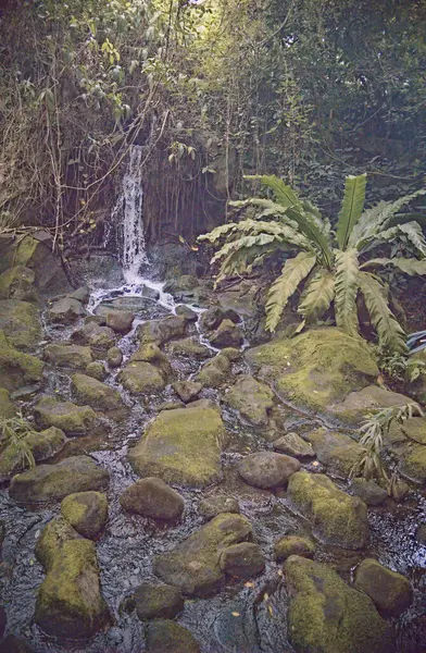 stock image Wonderful streams captured in the camera's high-speed shutter mode resulted in a freeze-splash water image in the Melaka public park area, on the west coast of Malaysia.