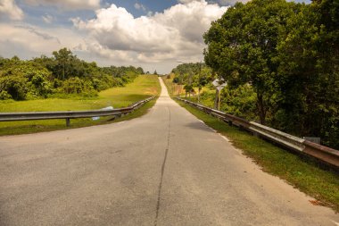 Melaka, Malezya kırsalında doğa ile çevrili huzurlu bir yol.