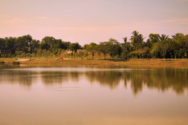 Huzurlu bir göl kenarı parkı, yemyeşil bir sergi ve yumuşak güneş ışığı altında sakin su yansımaları. Huzurlu atmosfer doğanın güzelliğini ön plana çıkarıyor ve Ijok, Malezya 'da açık hava keyfi için rahatlatıcı, pitoresk bir ortam sunuyor..