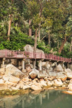 A serene nature trail with a red-railed walkway elevated over large boulders near a calm water stream, surrounded by dense greenery and tall trees, evoking a peaceful, scenic outdoor environment next to Malaysia's Teluk Cempedak beach. clipart