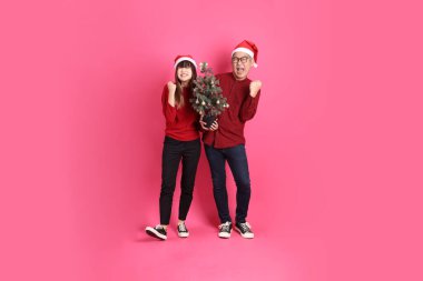 Mutlu Noeller, Asyalı son sınıf öğrencisi ve genç bayan resmi ve sıradan kırmızı giysiler içinde, pembe arka planda izole edilmiş, Noel ağacını tutma jesti ile..