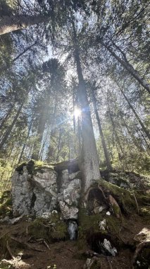 Eibsee Alpenberge Zugspitze Bayern Deutschland