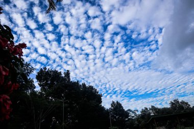 Mavi gökyüzünde bulutlar güzel toplama