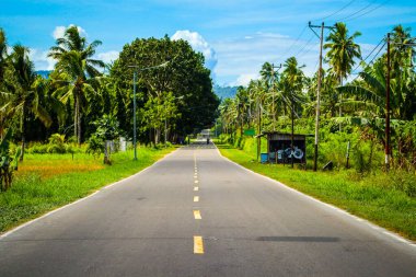 Yol güzel ve gölgeli ve yeşil ağaçlarla kaplı.