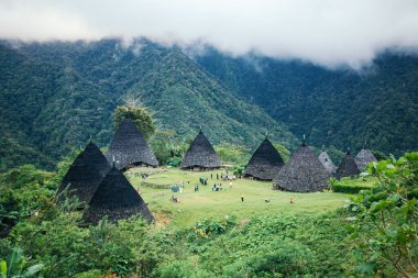 Endonezya 'nın en yüksek köyü olan Waerebo' nun güzelliği Endonezya 'nın en gözde turistik beldesi olan güzel ve büyüleyici geleneksel bir köydür.