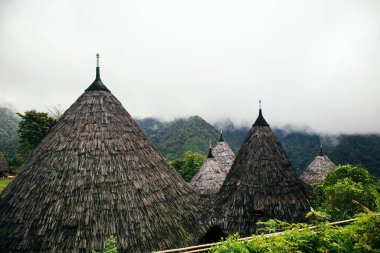 Traditional house of the Waerebo tribe which is shaped like a cone resembling a pyramid, the most unique traditional house, traditional village located at the height of Waerebo, Flores Island clipart