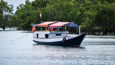 Denizin ortasında bir gemi.