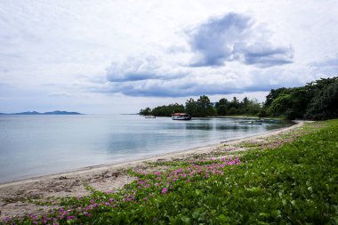 Flores Adaları Okyanus Tropik Plajı