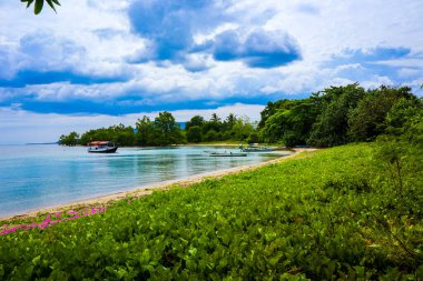 Flores Adaları Okyanus Tropik Plajı