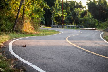 Gün batımında ormanda asfalt yol kıvrılır. 