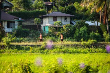 Maumere, Endonezya - 9 Haziran 2024: Endonezyalı ilkokul öğrencileri, Flores