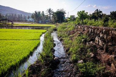 Tarım sulama için akan su