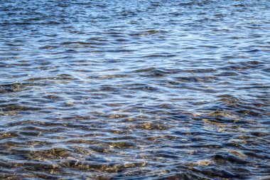 Güneş çarptığında deniz suyu güzel ve camlıdır.