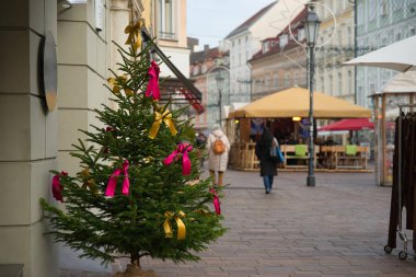 Kendinizi altın ve pembe kurdelelerle süslenmiş bir Noel ağacının şenlikli atmosferine sokun. Resmin solunda, hareketli bir yaya bölgesinde zarif bir şekilde konumlandırın. Bulanık arka plan, gezinen ve eğlenen insanları yakalar. 