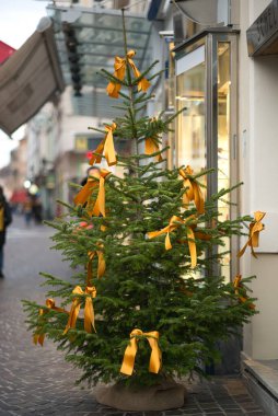 Yaya bölgesini süsleyen bir Noel ağacının şenlikli atmosferinde gün ışığında dans eden altın sarısı kumaş kurdelelerle süslenerek eğlenin. Bu büyüleyici sahne şehrin Noel sokak dekorunun özünü yansıtıyor. Kimlik yokluğu